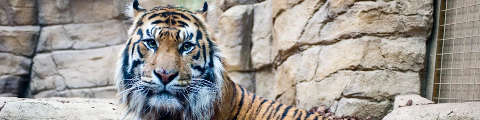 London Zoo